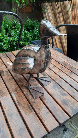 Duck standing